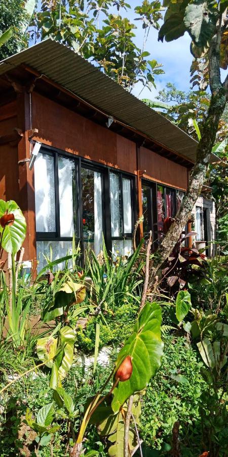 Jungleadventure Cabin Camping 브두굴 외부 사진